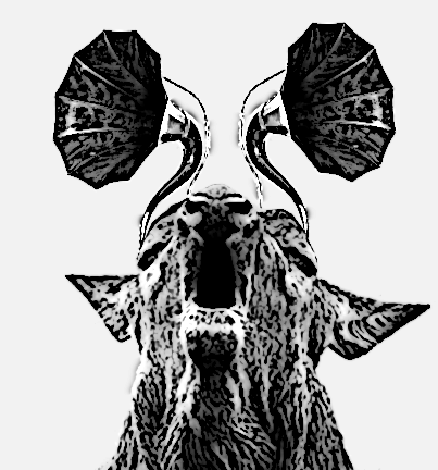 EdSun_orignal